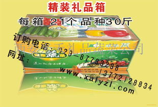 春节礼品菜选购指南 价格解析、品牌厂家推荐与日用百货销售渠道